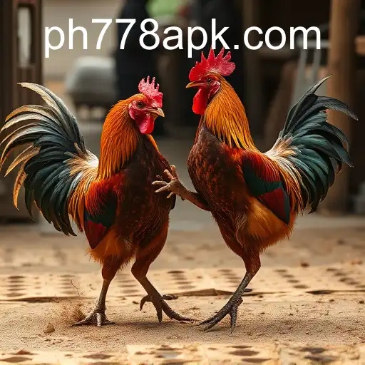 The Complex World of Cockfighting and the Emergence of PH778.COM